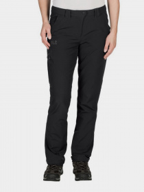 Аутдор и горнолыжные штаны Jack Wolfskin Chilly Track Xt модель 1502371-6000 Фото