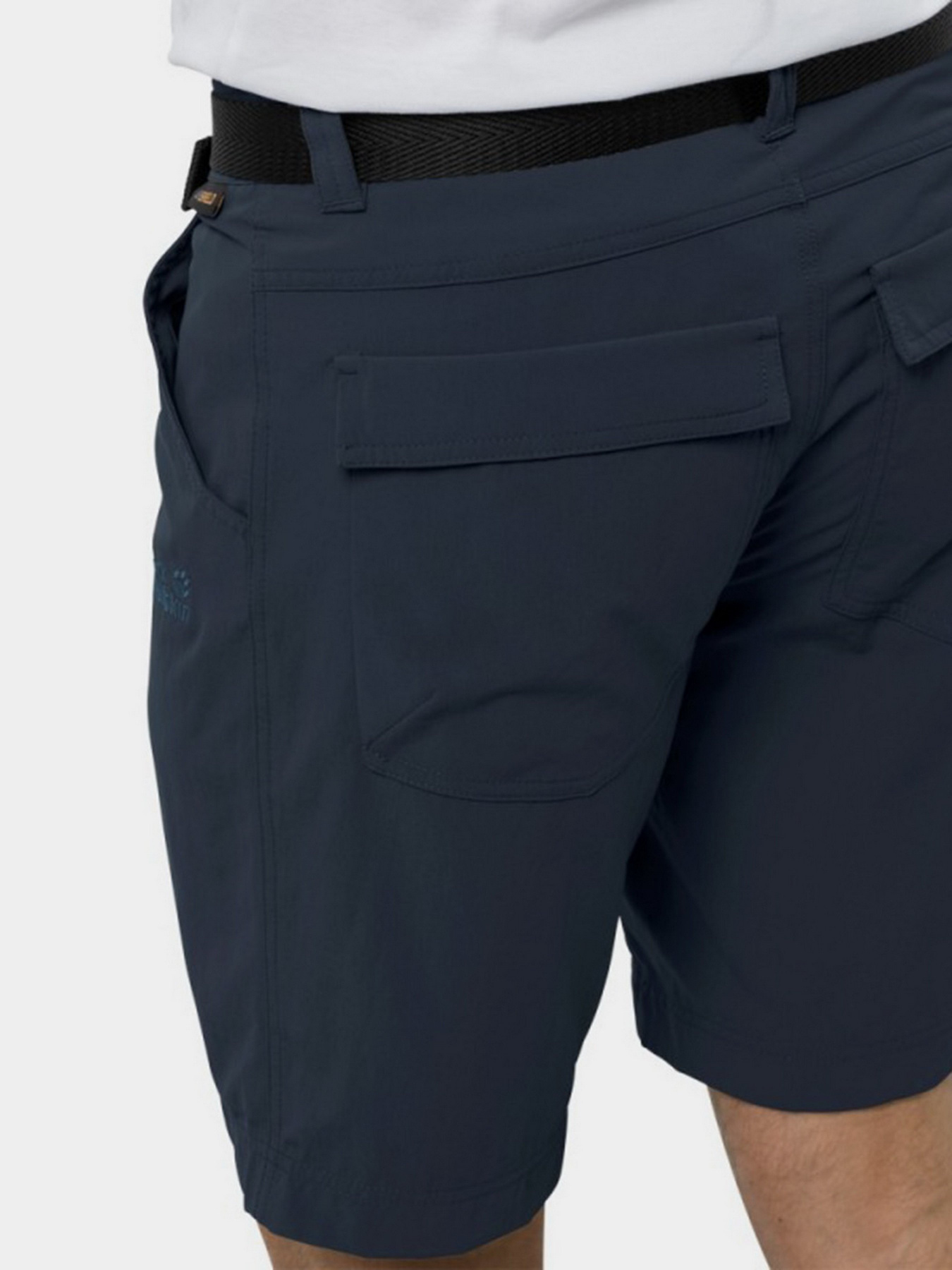 Шорты Jack Wolfskin Hoggar модель 1503781-1010 Фото