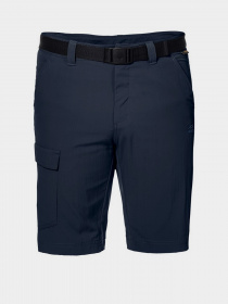 Шорты Jack Wolfskin Hoggar модель 1503781-1010 Фото