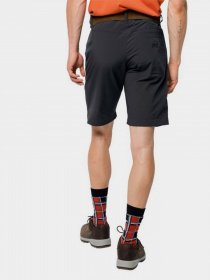 Шорты Jack Wolfskin Desert Valley модель 1504741-6350 Фото