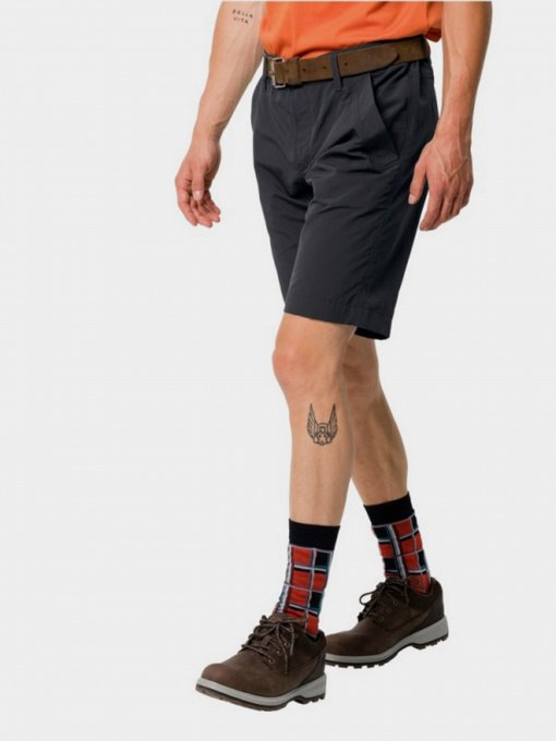 Повседневные шорты Jack Wolfskin Desert Valley модель 1504741-6350 Фото