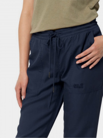 Джогери Jack Wolfskin Mojave модель 1504751-1910 Фото