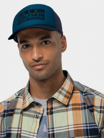 Кепка Jack Wolfskin Brand Mesh модель 1909391-1350 Фото