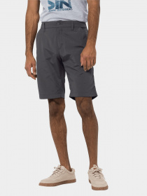 Шорты Jack Wolfskin Desert Valley модель 1504741_6168 Фото