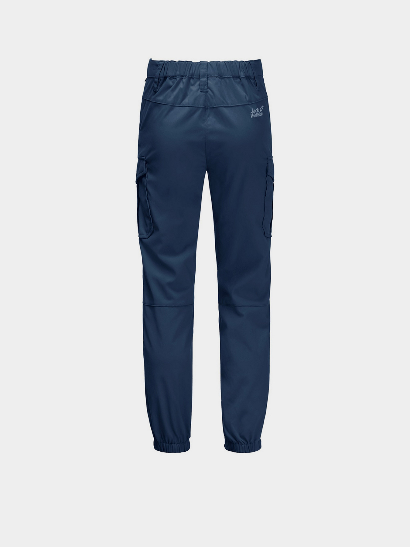 Карго Jack Wolfskin Treasure Hunter модель 1608381_1024 Фото