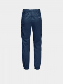 Карго Jack Wolfskin Treasure Hunter модель 1608381_1024 Фото