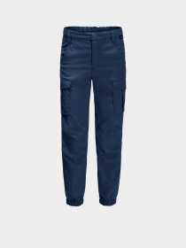 Карго Jack Wolfskin Treasure Hunter модель 1608381_1024 Фото