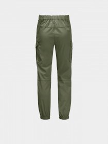 Брюки повседневные Jack Wolfskin Treasure Hunter модель 1608381_4129 Фото