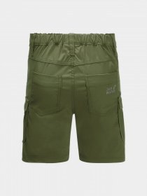 Шорты Jack Wolfskin Treasure Hunter модель 1608401_4129 Фото