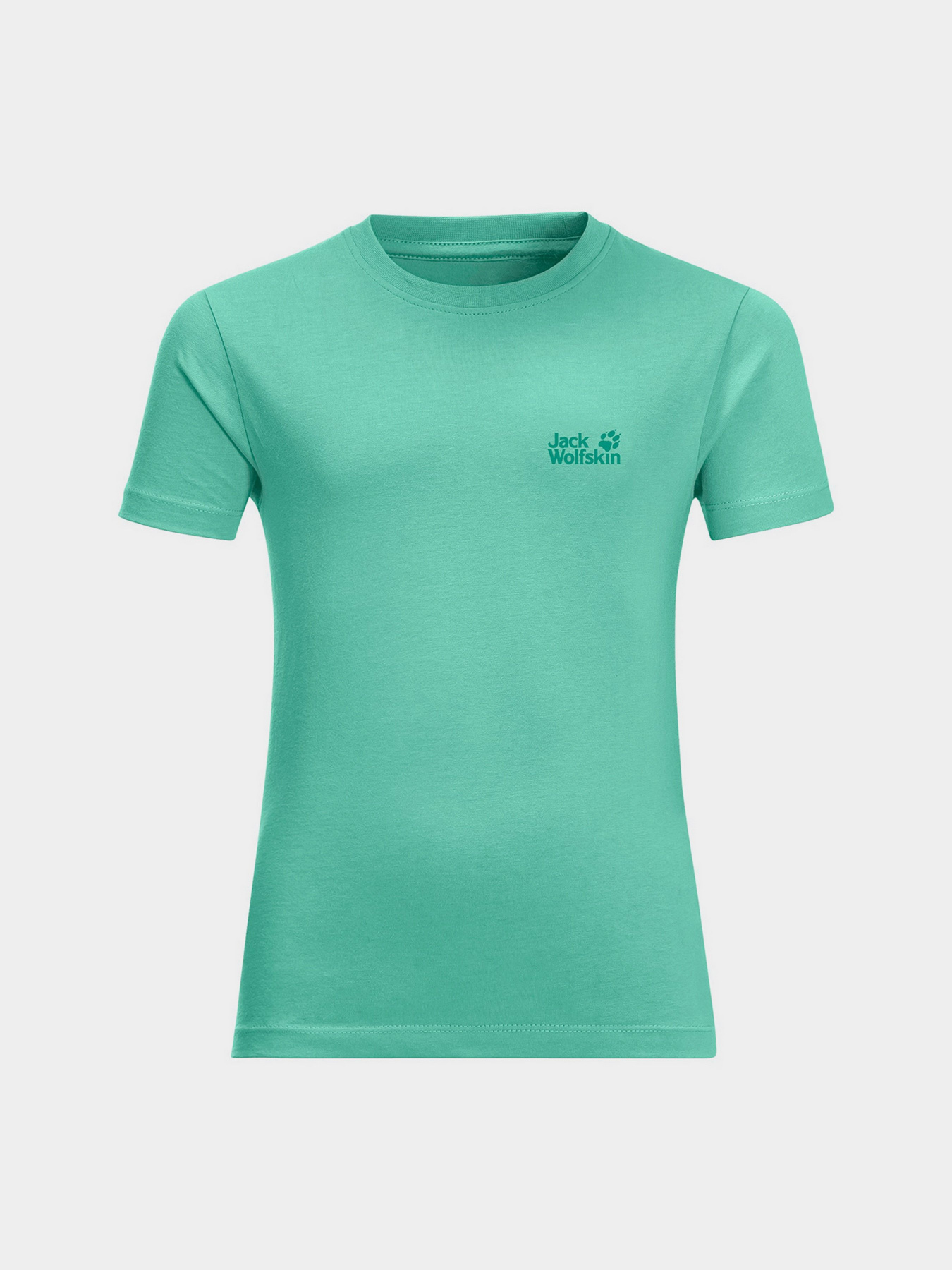 Футболка Jack Wolfskin Essential модель 1609391_4124 Фото