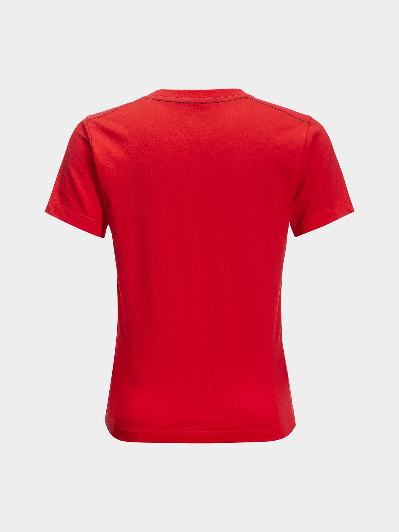 Футболки и поло Jack Wolfskin Brand Wolf модель 1609421_2015 Фото