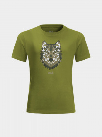 Футболка Jack Wolfskin Brand Wolf модель 1609421_4410 Фото