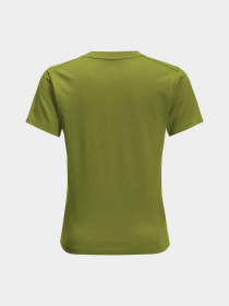 Футболка Jack Wolfskin Brand Wolf модель 1609421_4410 Фото