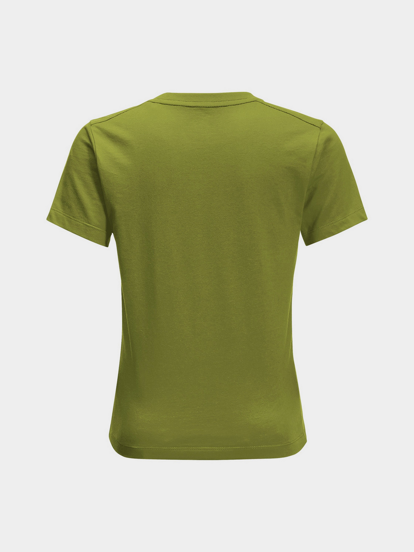 Футболка Jack Wolfskin Brand Wolf модель 1609421_4410 Фото