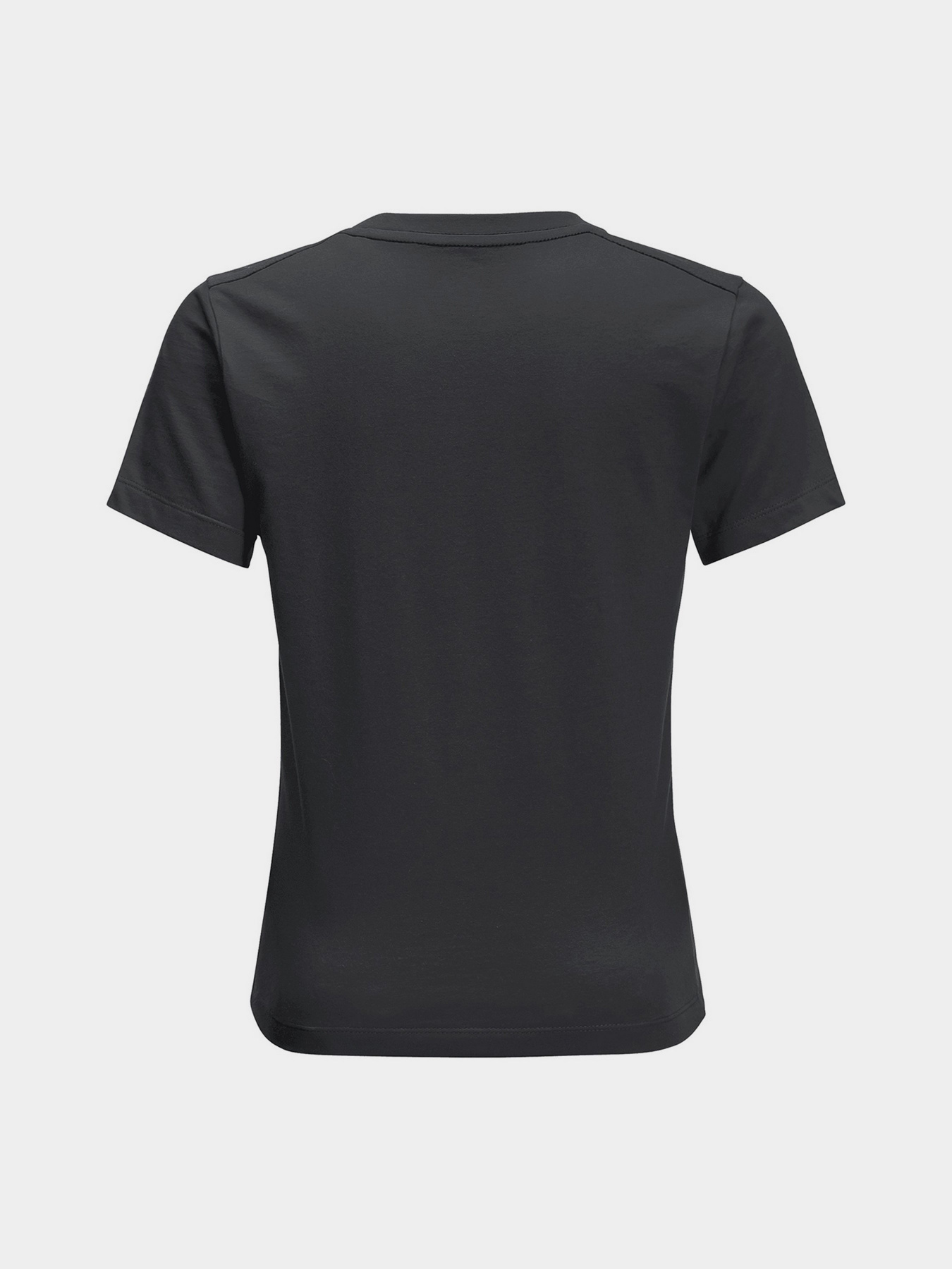 Футболка Jack Wolfskin Brand Wolf модель 1609421_6350 Фото