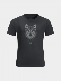 Футболка Jack Wolfskin Brand Wolf модель 1609421_6350 Фото
