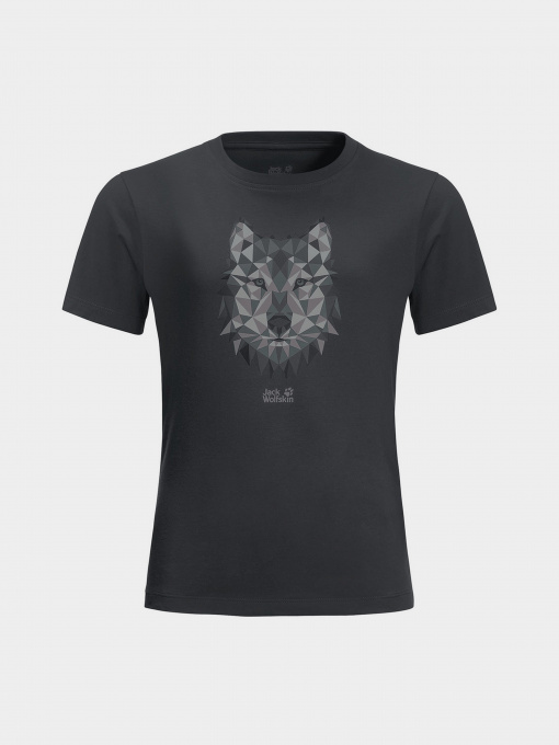 Футболка Jack Wolfskin Brand Wolf модель 1609421_6350 Фото