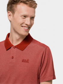 Поло Jack Wolfskin Pique модель 1804653_3740 Поло Jack Wolfskin Pique модель 1804653_3740 Фото