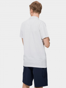 Поло Jack Wolfskin Pique модель 1804653_5018 Фото