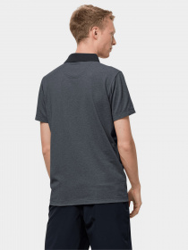 Поло Jack Wolfskin Pique модель 1804653_6000 Фото