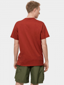 Футболки и поло Jack Wolfskin 365 модель 1808132_3740 Фото