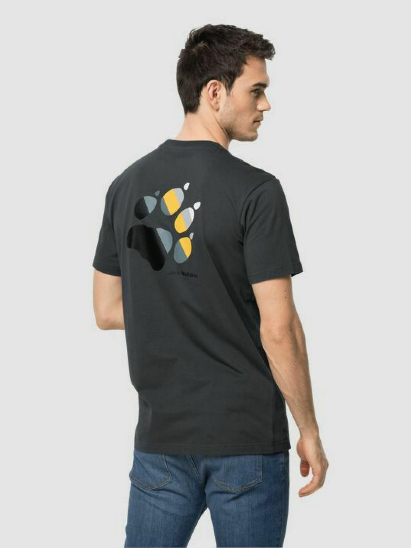 Футболки и поло Jack Wolfskin Rainbow Paw модель 1808261_6350 Фото
