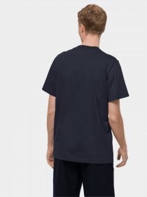 Футболка Jack Wolfskin Mountain Trail модель 1808401_1010 Фото