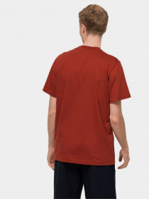 Футболки и поло Jack Wolfskin Mountain Trail модель 1808401_3740 Фото