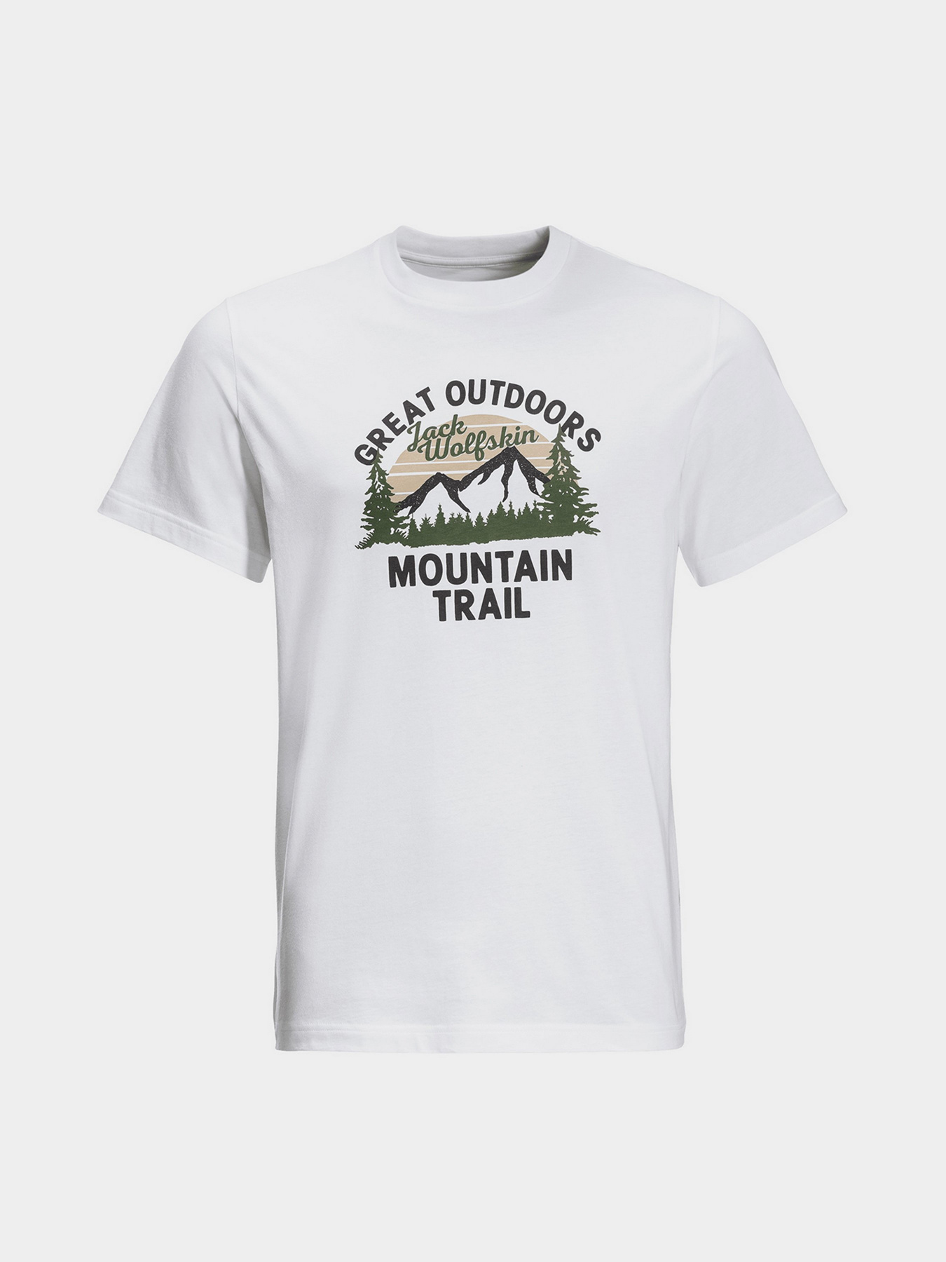 Футболка Jack Wolfskin Mountain Trail модель 1808401_5018 Фото