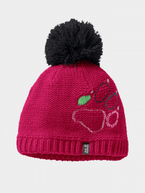 Шапка Jack Wolfskin Paw Knit модель 1906591_2515 Фото