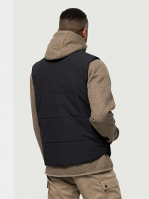 Утепленный жилет Jack Wolfskin White Frost модель 1206402_6000 Фото