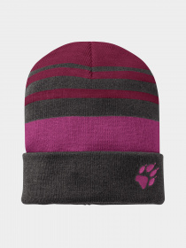 Шапка Jack Wolfskin Stripy Knit модель 1910401_2501 Фото
