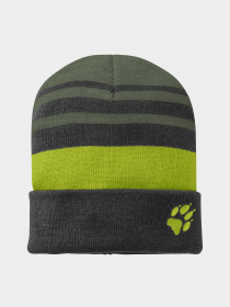 Шапка Jack Wolfskin Stripy Knit модель 1910401_5145 Фото