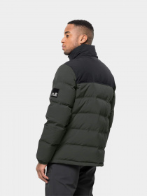 Пуховик Jack Wolfskin Alex Down модель 1206911_4018 Фото