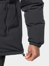 Пуховик Jack Wolfskin Alex Down модель 1206911_6350 Фото