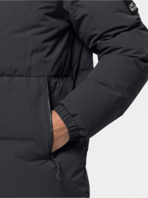 Пуховик Jack Wolfskin Alex Down модель 1206911_6350 Фото