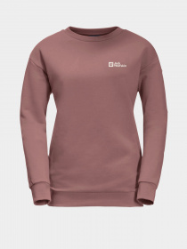 Худи Jack Wolfskin Essential модель 1710132_3068 Фото