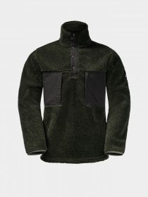 Кофта Jack Wolfskin Pank Snap модель 1710601_4018 Фото