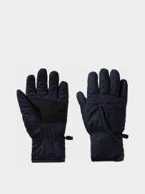 Перчатки Jack Wolfskin Easy Entry модель 1900167_1010 Фото