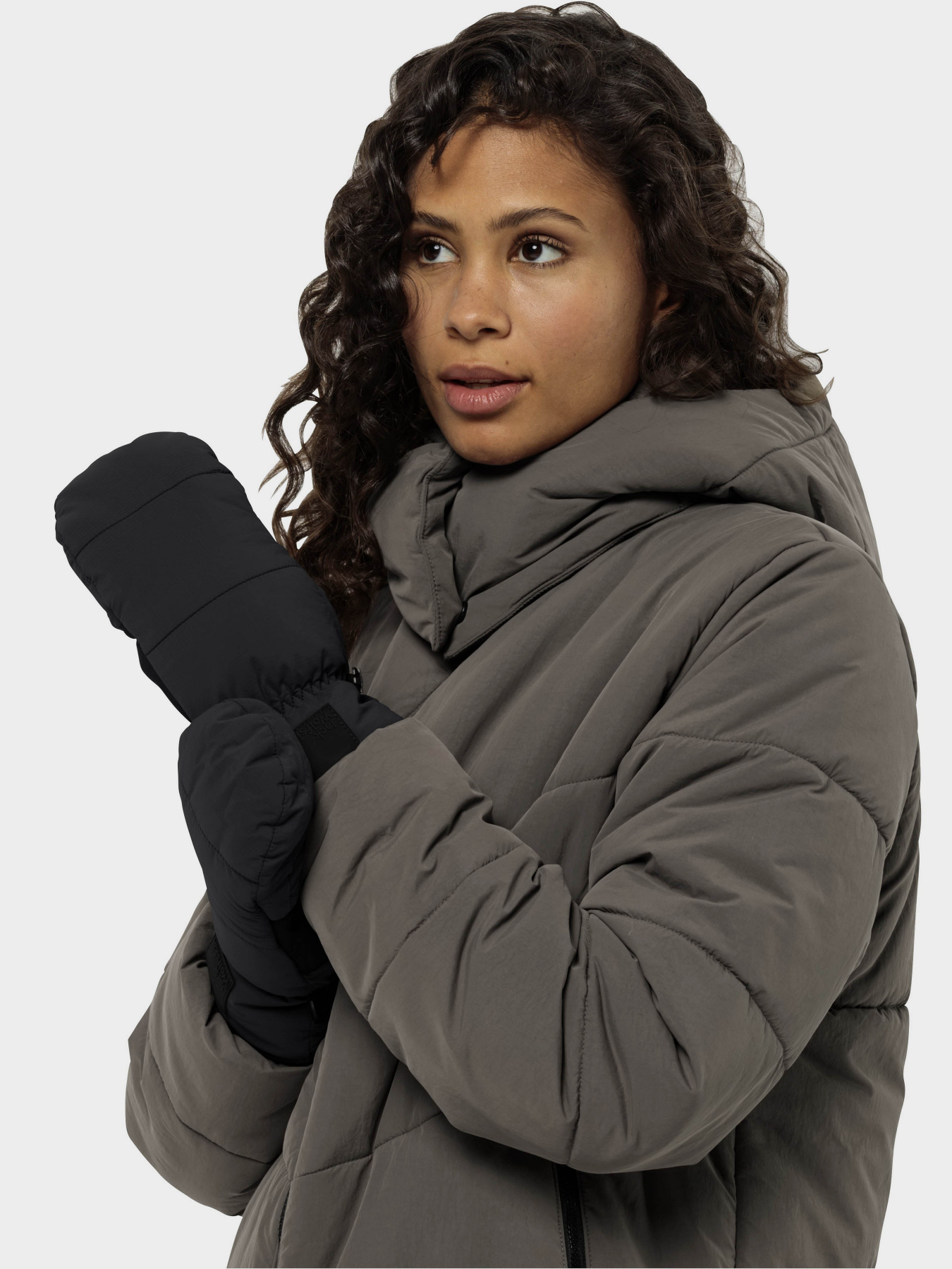 Варежки Jack Wolfskin Roemertor модель 1911551_6350 Фото