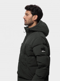 Пуховик Jack Wolfskin Dellbrueck модель 1207551_6502 Фото