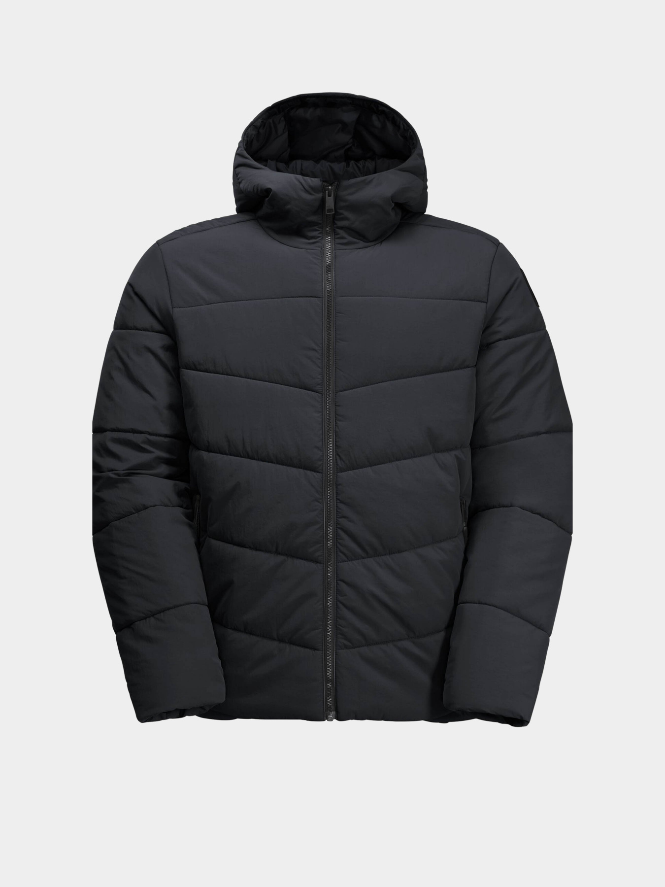Демисезонная куртка Jack Wolfskin модель 1207831_6350 Фото