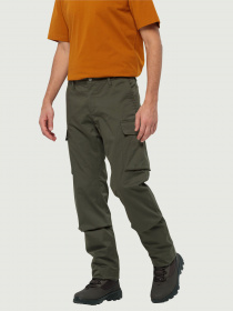 Карго Jack Wolfskin Arctic Road Cargo модель 1505762_4341 Фото