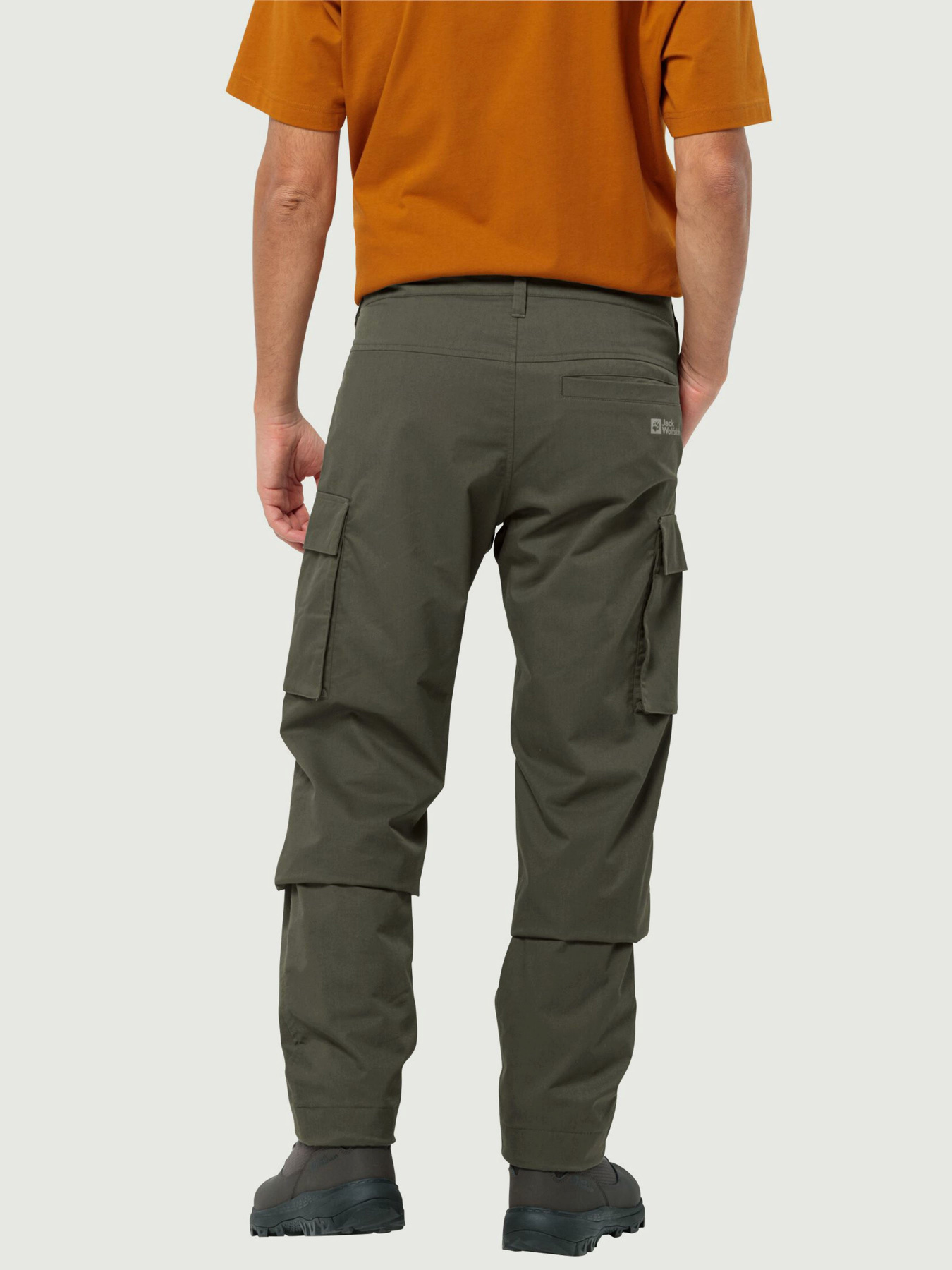 Карго Jack Wolfskin Arctic Road Cargo модель 1505762_4341 Фото