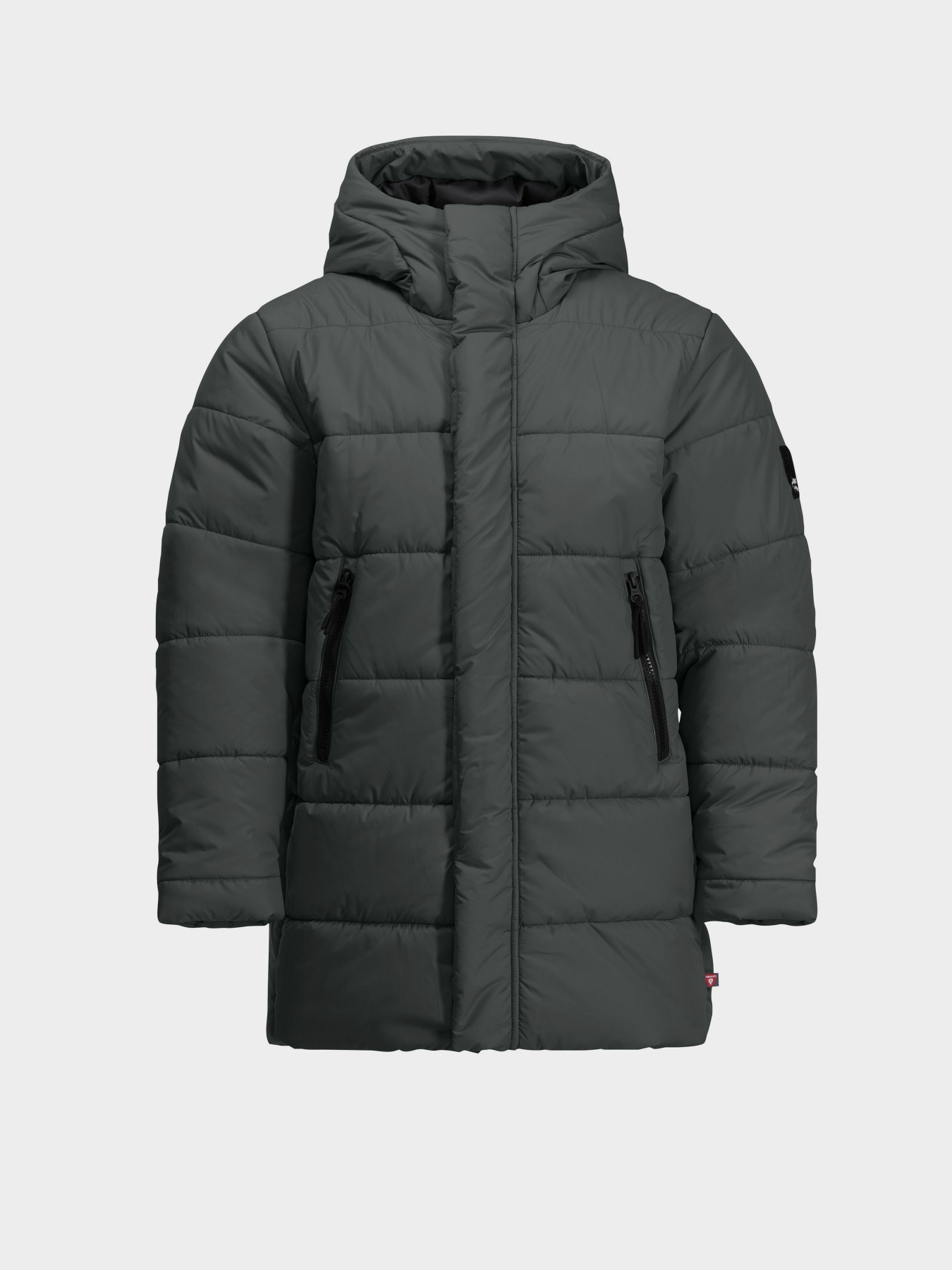 Зимняя куртка Jack Wolfskin Teen Ins модель 1610171_4136 Фото