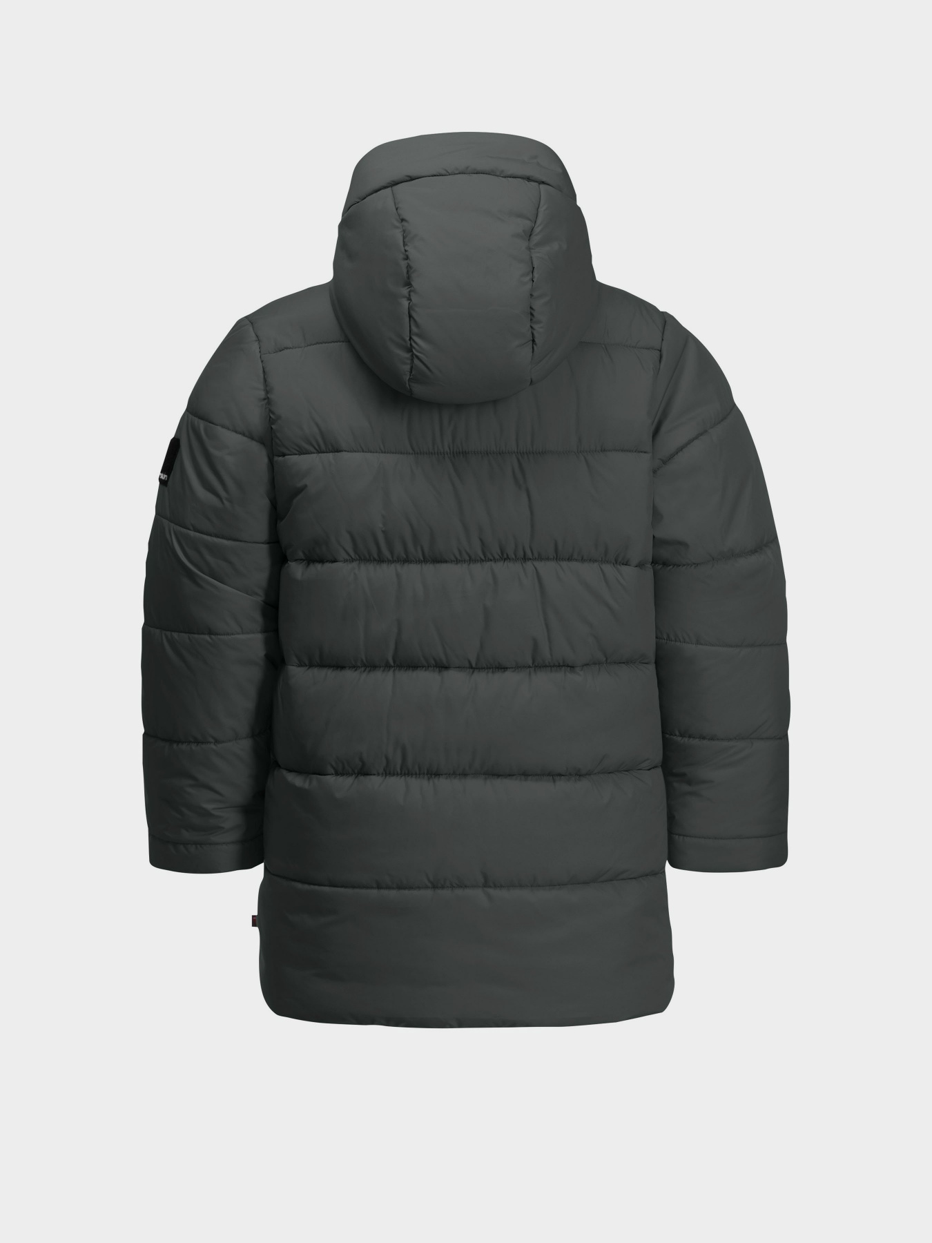 Зимняя куртка Jack Wolfskin Teen Ins модель 1610171_4136 Фото