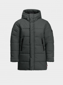 Зимняя куртка Jack Wolfskin Teen Ins модель 1610171_4136 Фото