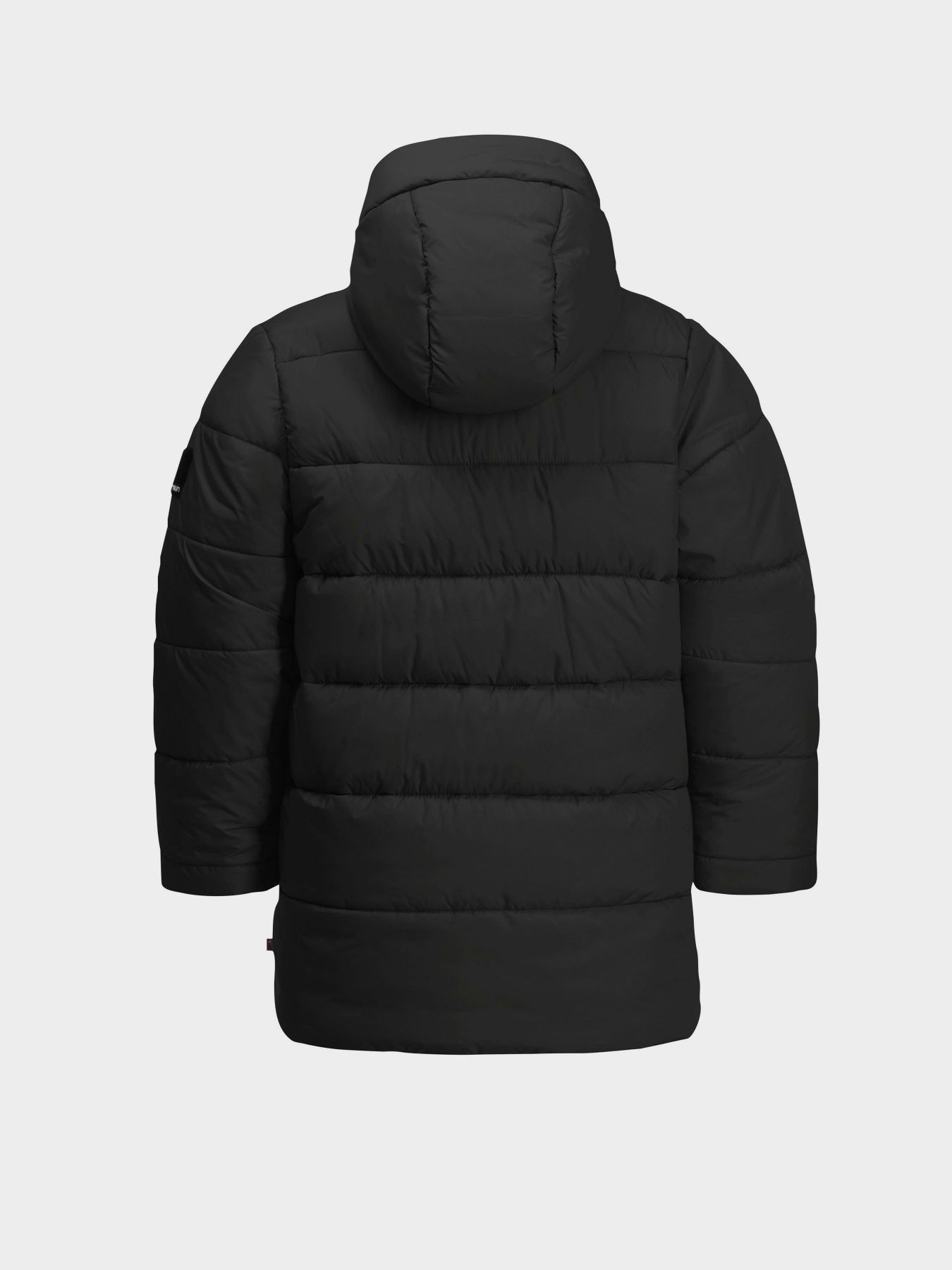 Зимова куртка Jack Wolfskin Teen Ins модель 1610171_6502 Фото