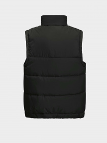Утеплений жилет Jack Wolfskin Teen Ins Vest Y модель 1610211_6502 Утеплений жилет Jack Wolfskin Teen Ins Vest Y модель 1610211_6502 Фото