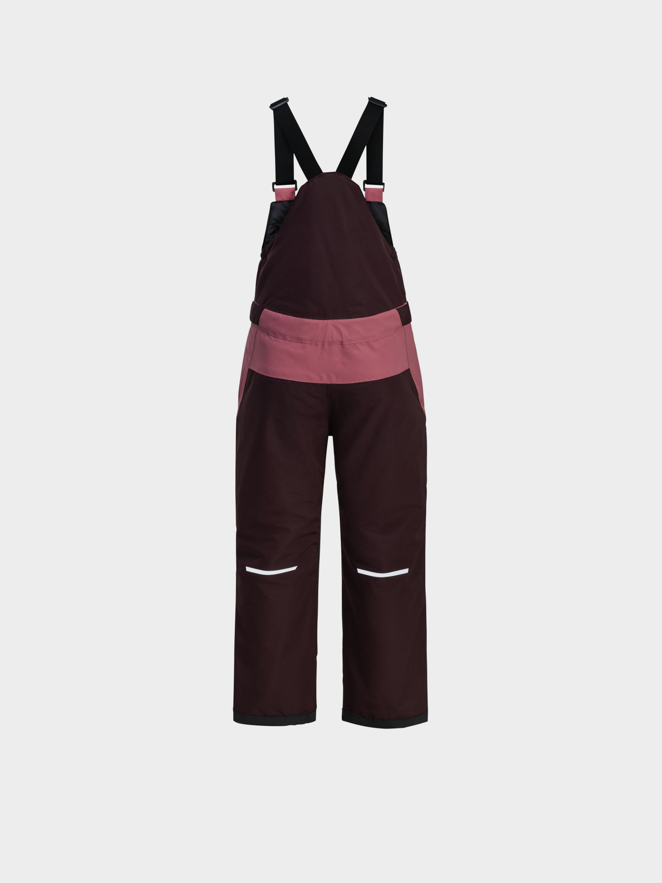 Лижні штани Jack Wolfskin модель 1610341_2700 Фото